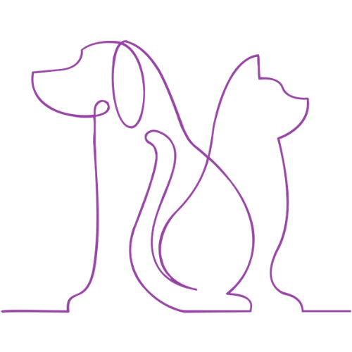 mission icon